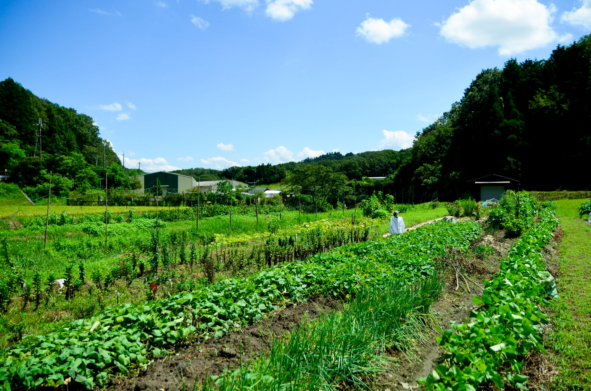 新規就農者を増やし 100年先も続く農業 を実現 これからの農業の在るべき姿とは Taliki Org